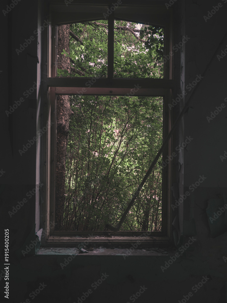 Fototapeta premium window on old abandoned house 