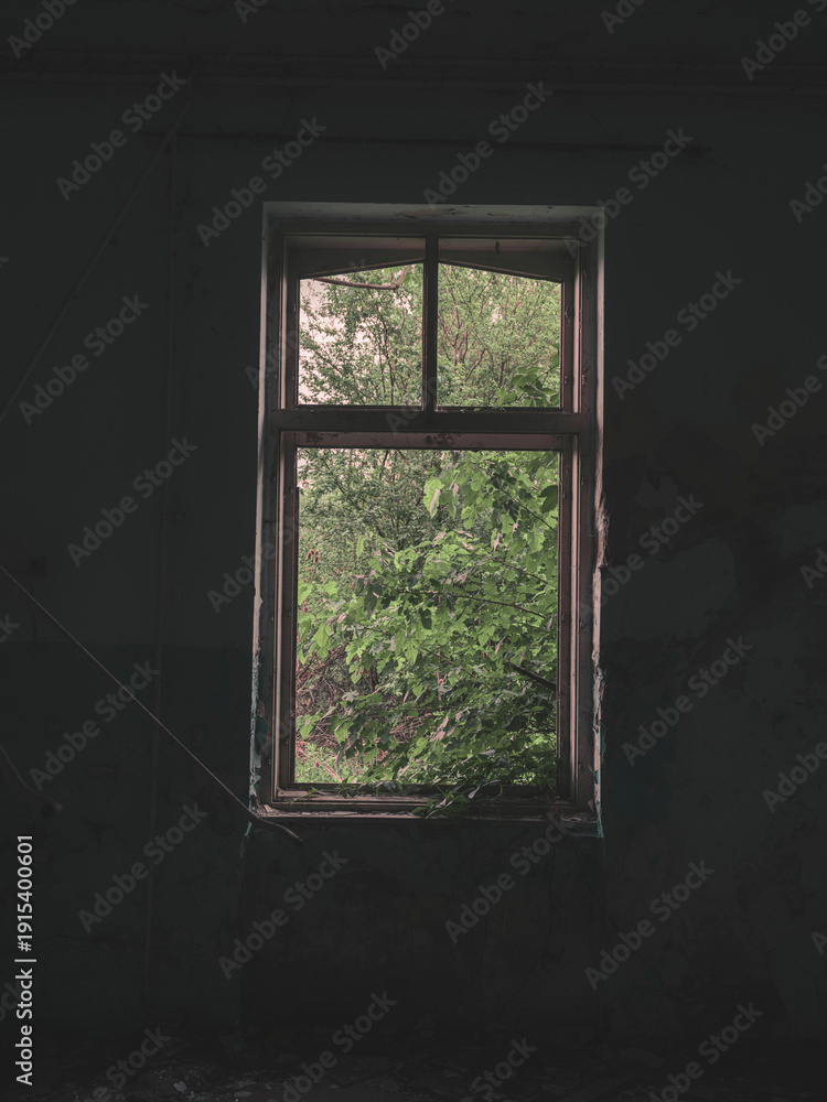 Fototapeta premium window in the old house