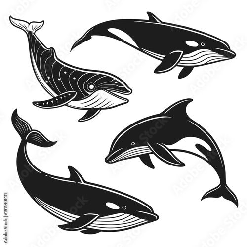 A group of different whale species swimming in the ocean Vector