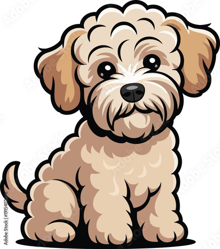 Cute cartoon a illustrator vector Schnoodle
