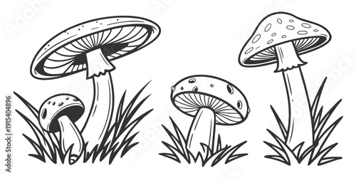 A detailed illustration of four mushrooms growing in a grassy field. Vector