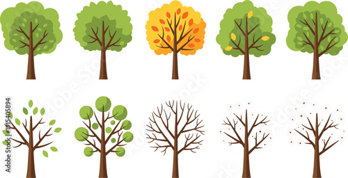 Flat vector illustration set of individual stylized trees including autumn leaves spring blossoms and bare winter branches icons.