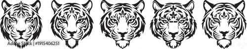 Five tiger heads in a row, vector illustration of feline faces with detailed stripes, isolated on transparent background
