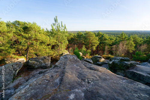 Point of view of the Avon rock in Fontainebleau forest	