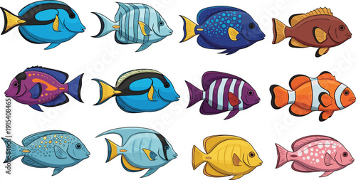 Colorful tropical fish vector set featuring clownfish tang and reef species in vibrant cartoon style for aquarium ocean and underwater marine designs