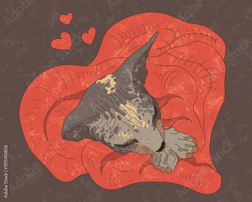 Red And Brown Sleeping Sphynx Cat Wrapped In Blanket With Hearts. Warm And Cozy Illustration
