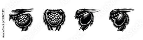 Futuristic insect flat vector icons set: sci-fi ant, beetle, moth designs
