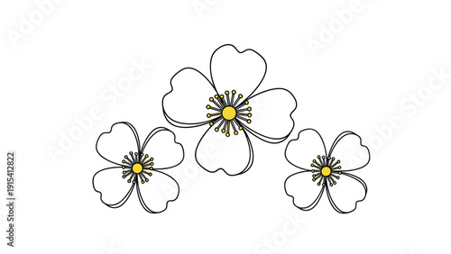 Simple line art drawing of three white flowers with four petals and yellow centers arranged on clean white background.