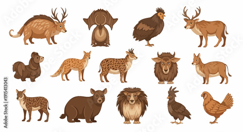 Collection of various wild animals with horns and feathers on white background wildlife illustrations