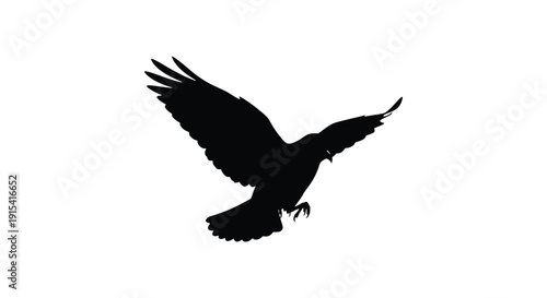 A striking black silhouette of a bird in flight wings outstretched showcasing graceful aerial movement silhouette