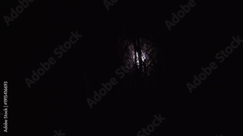 Wallpaper Mural A dramatic view of a bright full moon seen through a thicket of bare winter tree branches. The glowing moonlight contrasts sharply against the pitch-black night sky in a forest.  Torontodigital.ca
