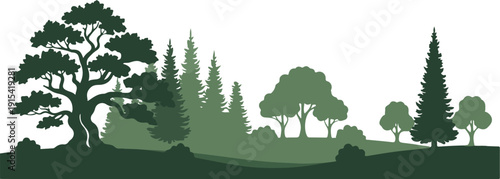 forest landscape  layered tree silhouettes in different shades of green