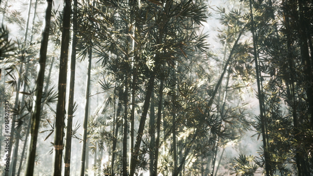 Fototapeta premium Tall bamboo stalks rise towards the sky as delicate leaves sway gently in a misty forest. Soft light filters through, creating a peaceful and calming scene inviting exploration and reflection.