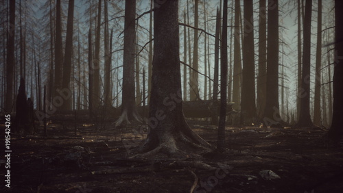Фотография Scorched earth and charred trees depict the aftermath of a wildfire