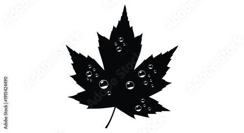 A striking black silhouette of a maple leaf adorned with several small circular water droplets silhouette high quality