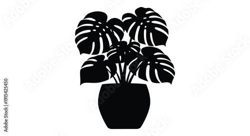 A striking black monstera deliciosa plant in a pot beautifully contrasted against a white background silhouette high quality