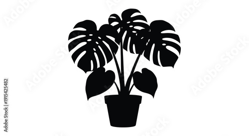A striking black silhouette of a monstera deliciosa plant in a pot showcasing its iconic split leaves silhouette