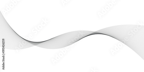 Abstract grey wave lines background with flowing dynamic curve on white backdrop