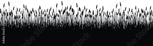 Black silhouette of a dense field of tall grass or reeds on a white background.