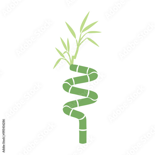 Green spiral lucky bamboo stalk with sprouting leaves. Minimalist flat vector illustration representing Feng Shui, growth, and zen decor
