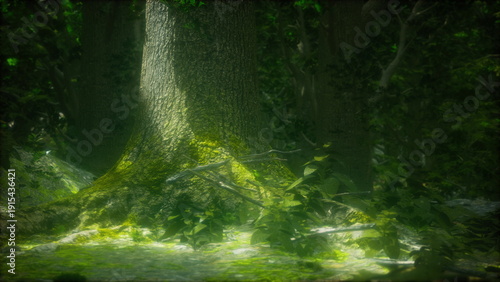 Canvas Print Sunlight filters through the tall trees, casting a gentle glow on the mossy ground