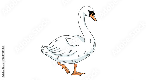 Swan in Walk Pose with Orange Beak and Feet