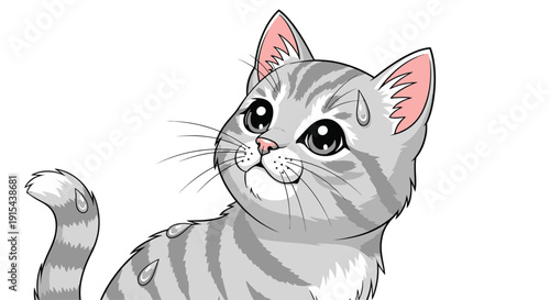 Gray striped cat with curious expression and water droplets on fur