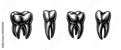 Dental tooth icons set. flat vector icons of teeth and molars. oral health symbols collection