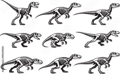 Velociraptor Skeleton Line Art Bundle