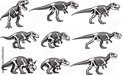 Tyrannosaurus Rex Skeleton Line Art Bundle