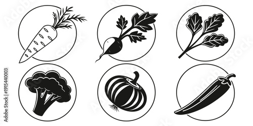 A variety of different types of pasta shapes and forms Vector