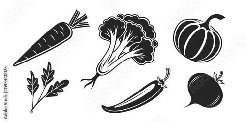 Assorted vegetables including carrots, lettuce, chili peppers, and eggplants Vector