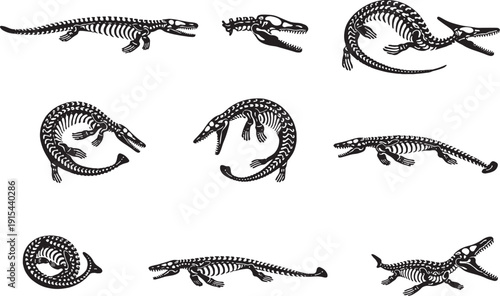  Black and White Crocodile Line Art Set with Multiple Poses Vector Illustration
