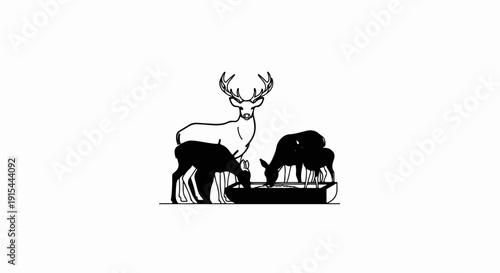 A stag stands over three deer drinking from a trough