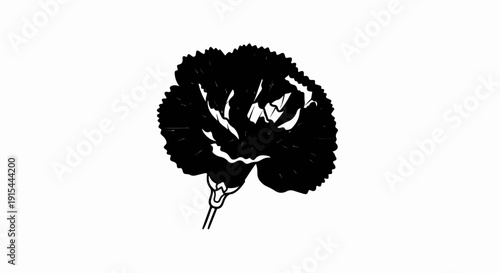 A stark black and white illustration of a carnation flower against a white background