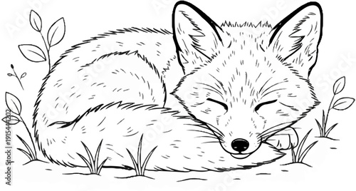 A sleeping fox curled up amidst grass and leaves