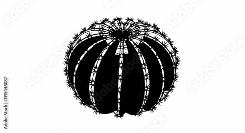 A stark, high-contrast black and white line art drawing of a round, spiny cactus