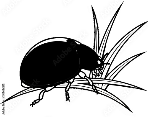 A solitary black insect with six legs rests on a few blades of grass