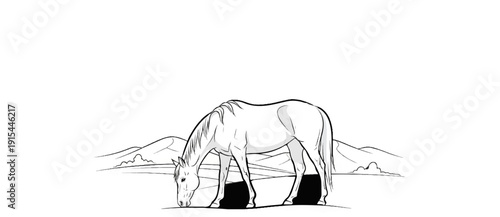 A horse grazes in a field with rolling hills and sparse vegetation in the background