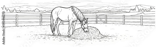 A horse grazes on a pile of hay in a fenced pasture with rolling hills