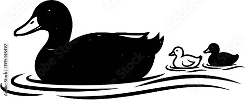 A large black duck swims with two smaller ducklings in calm water