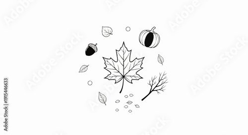 A scattering of fall elements maple leaf, acorn, pumpkin, branches, and leaves
