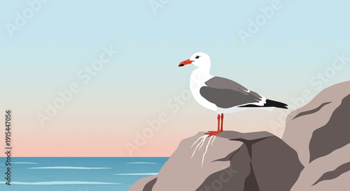 A lone seagull stands on a rocky outcrop overlooking the calm ocean