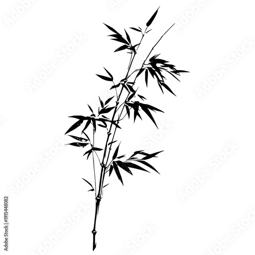 Silhouette of a bamboo stalk with leaves and branches in black and white against a light background
