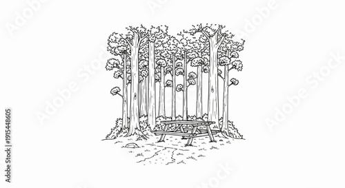 A sketch of a picnic table nestled amongst tall trees in a forest clearing