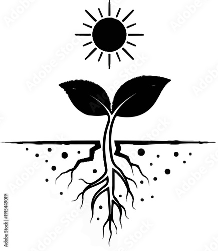 A seedling with extensive root system grows upwards towards a bright sun