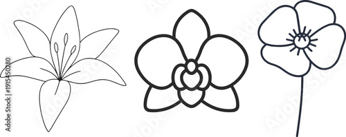 Black And White Floral Icons Set With Lily, Orchid And Poppy Line Art