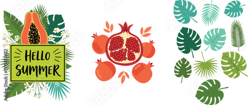 Tropical summer illustration with papaya, pomegranate, and green leaves composition, hello summer banner design, fresh fruit vector set for seasonal poster and decoration use