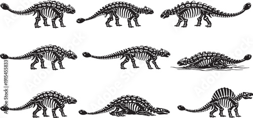 Ankylosaurus Skeleton Line Art Bundle ? Black and White Dinosaur Skeleton Icons.eps