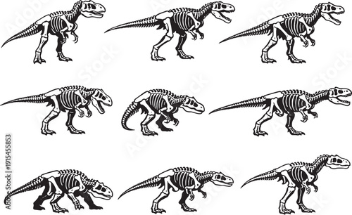 Allosaurus Skeleton Line Art Bundle